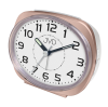 srp001.3.png