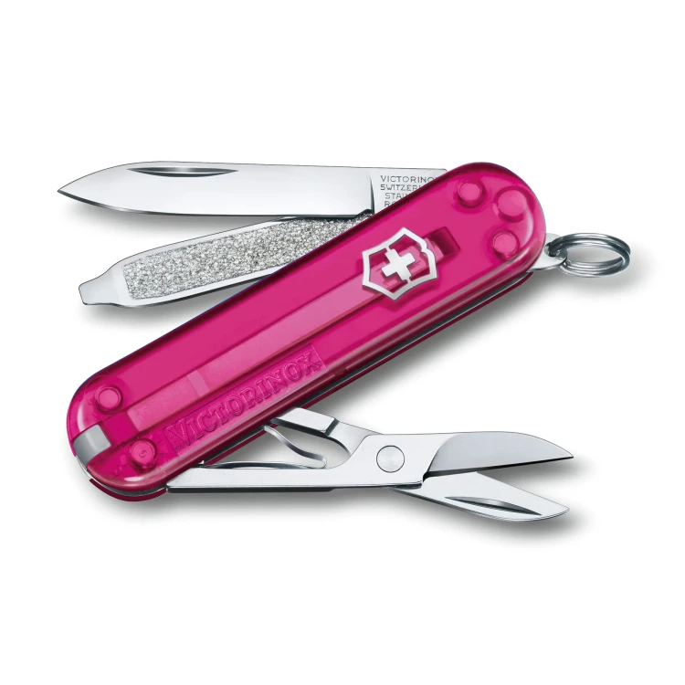 SAK_0-6223-T5_S1.jpg