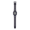 WS-B1000-1AVEF_3 kopia.png