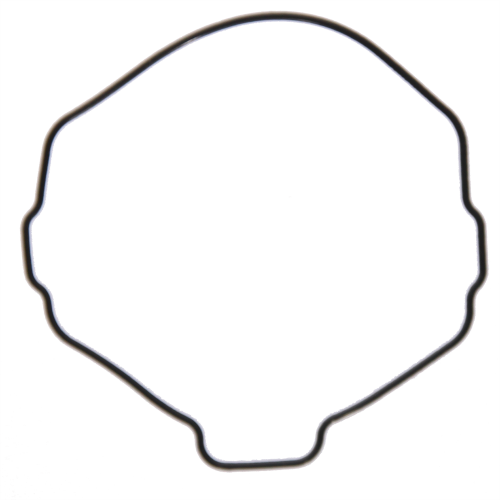 10033314 kopia.png