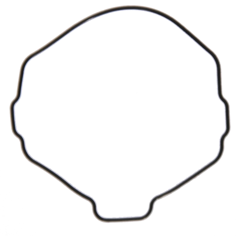 10033314 kopia.png
