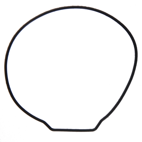 10607398 kopia.png