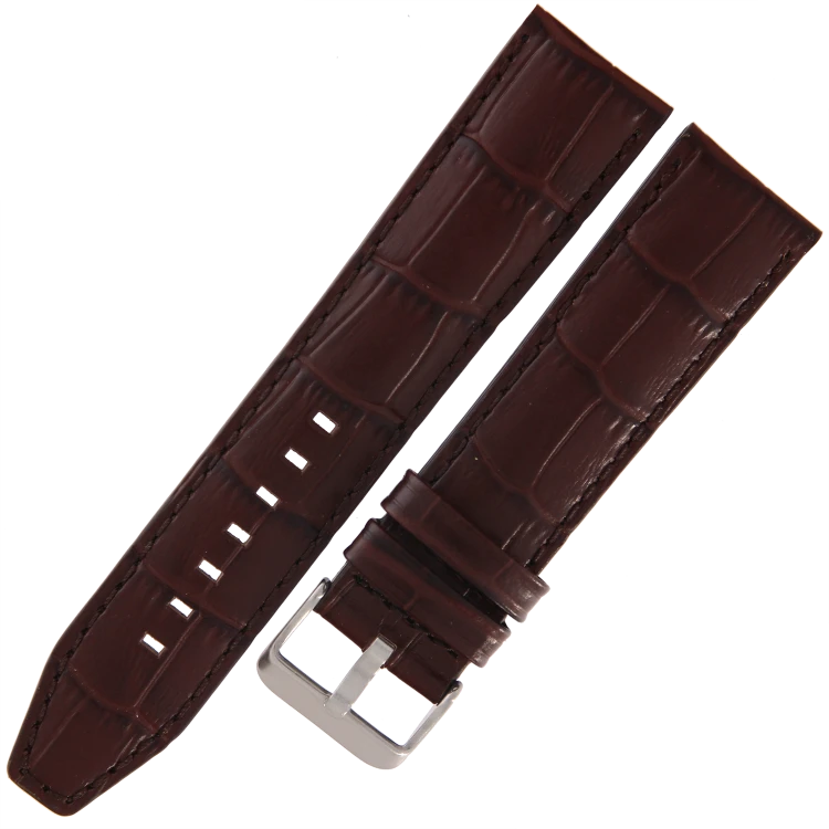 5590893 (1) kopia.png