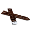 LSAGC kopia.png
