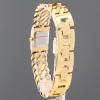 MICHAEL KORS MK4907_1 kopia.png