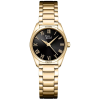 P22163.1134Q kopia.png