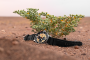 Expedition-Sahara_6S10-598A753_image_9 kopia.png