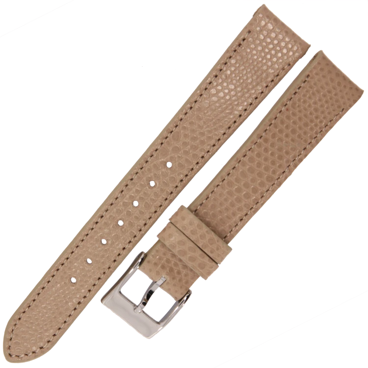LSAFF16_1 kopia.png