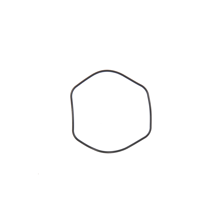 10670931 kopia.png