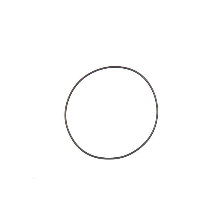 10669922 kopia.png