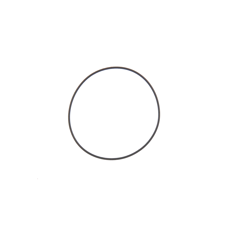 74209317 kopia.png