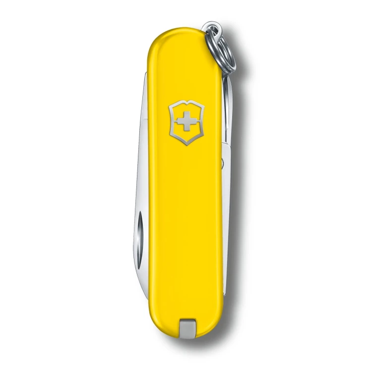 Scyzoryk VICTORINOX - Classic SD - Sunny Said2.jpg