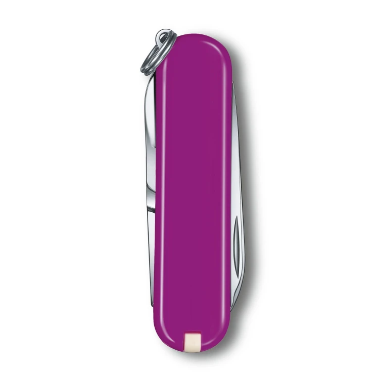 Scyzoryk VICTORINOX - Classic SD - Tasty Grape3.jpg