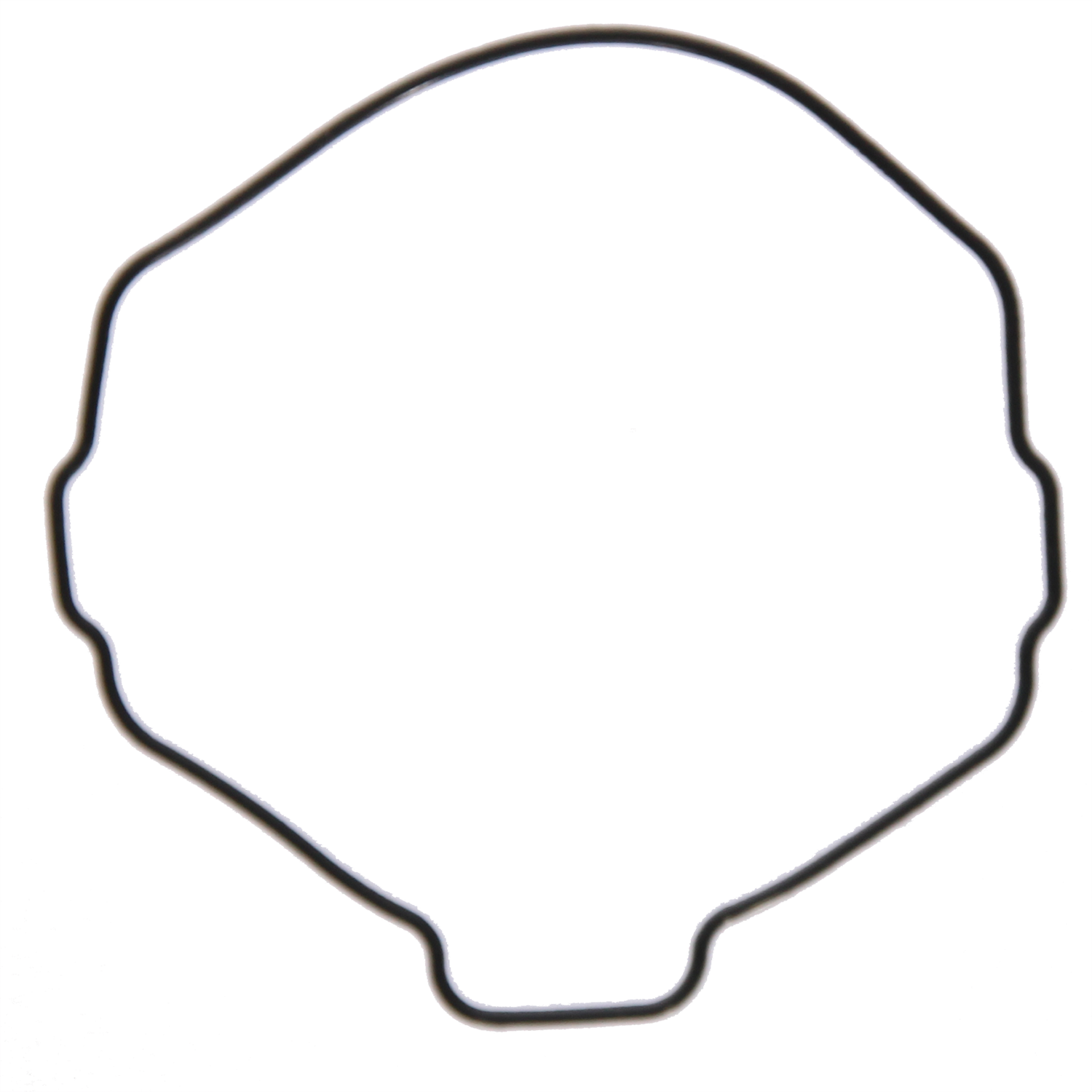 10033314 kopia.png