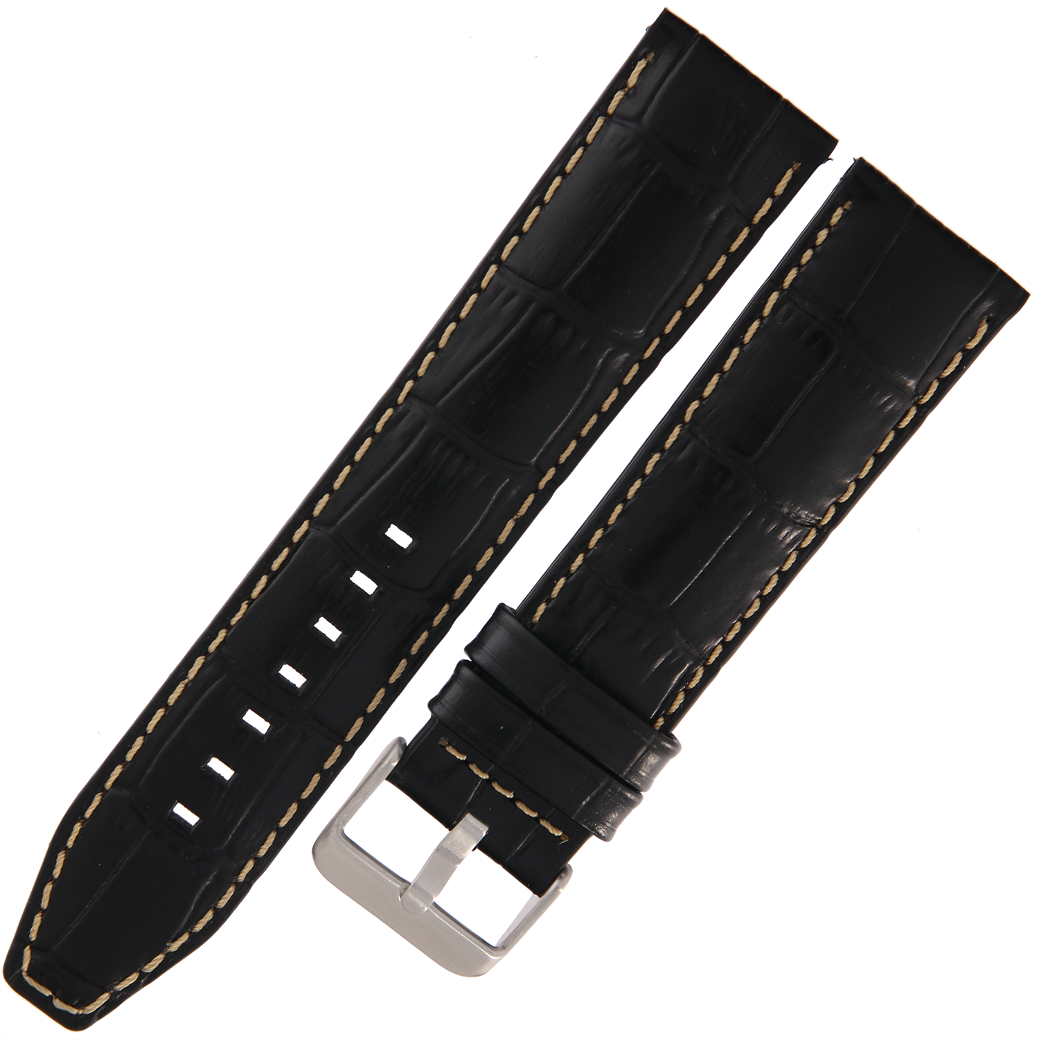 5590801 (1) kopia.png