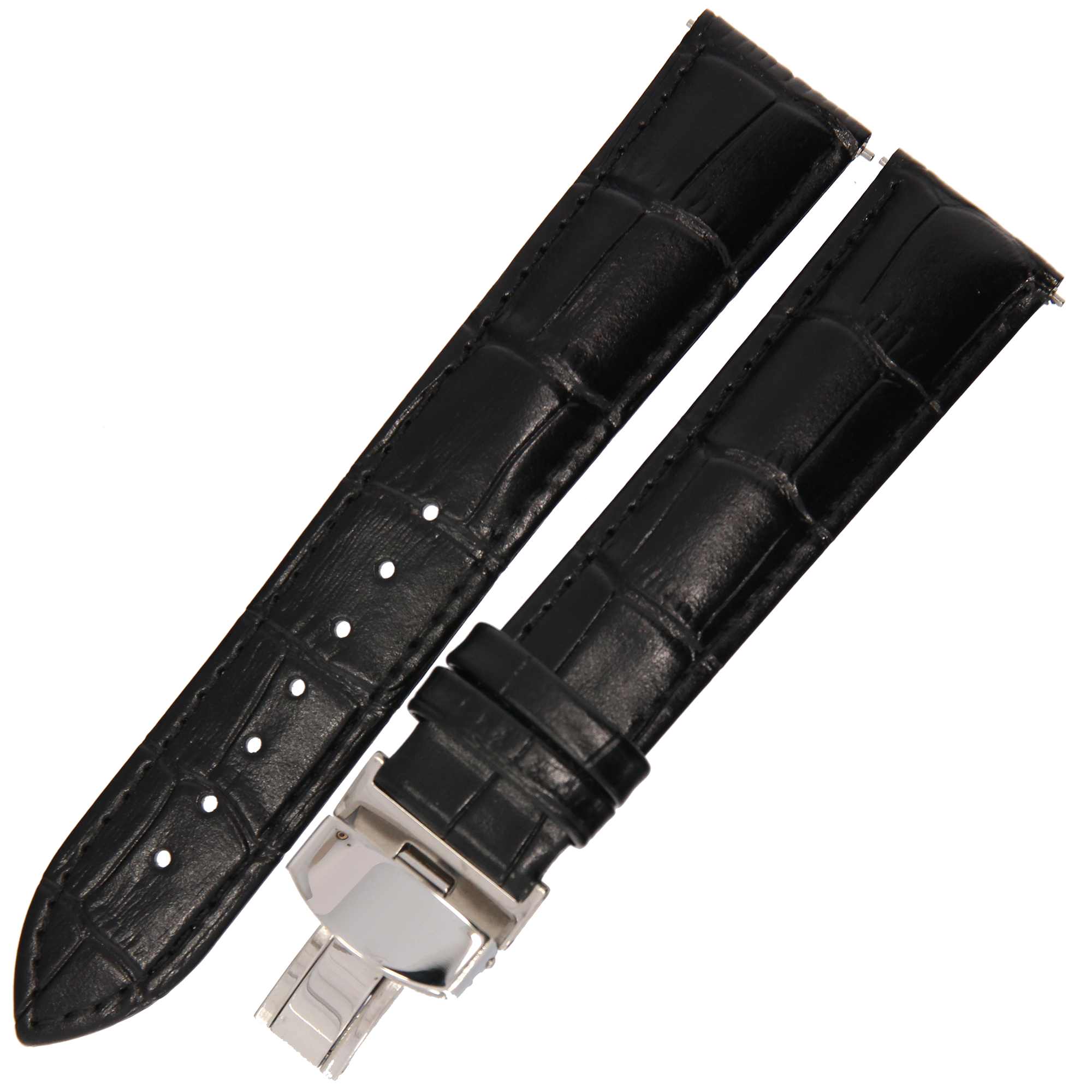 CP000336.01_1 kopia.png