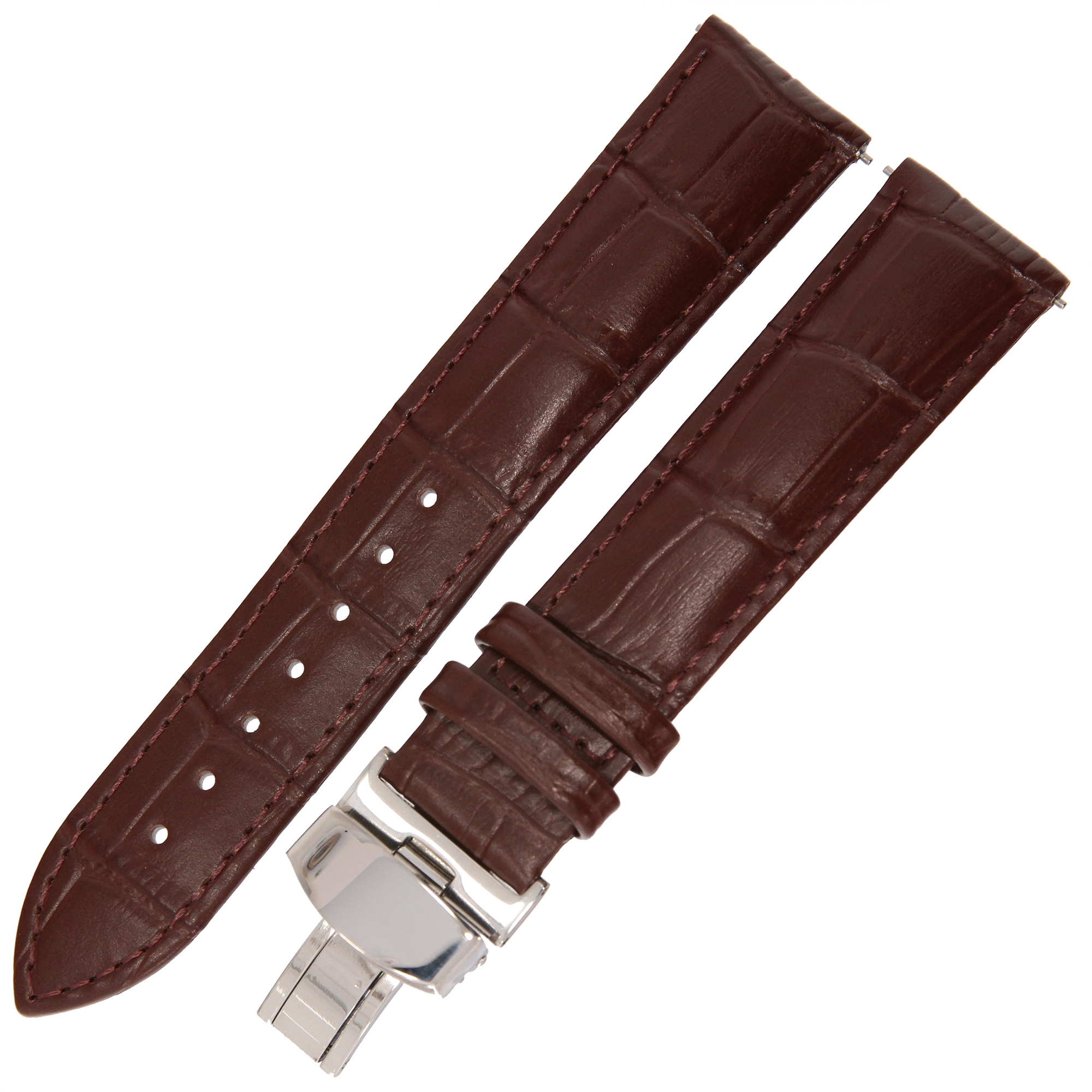 CP000336.02_1 kopia.png