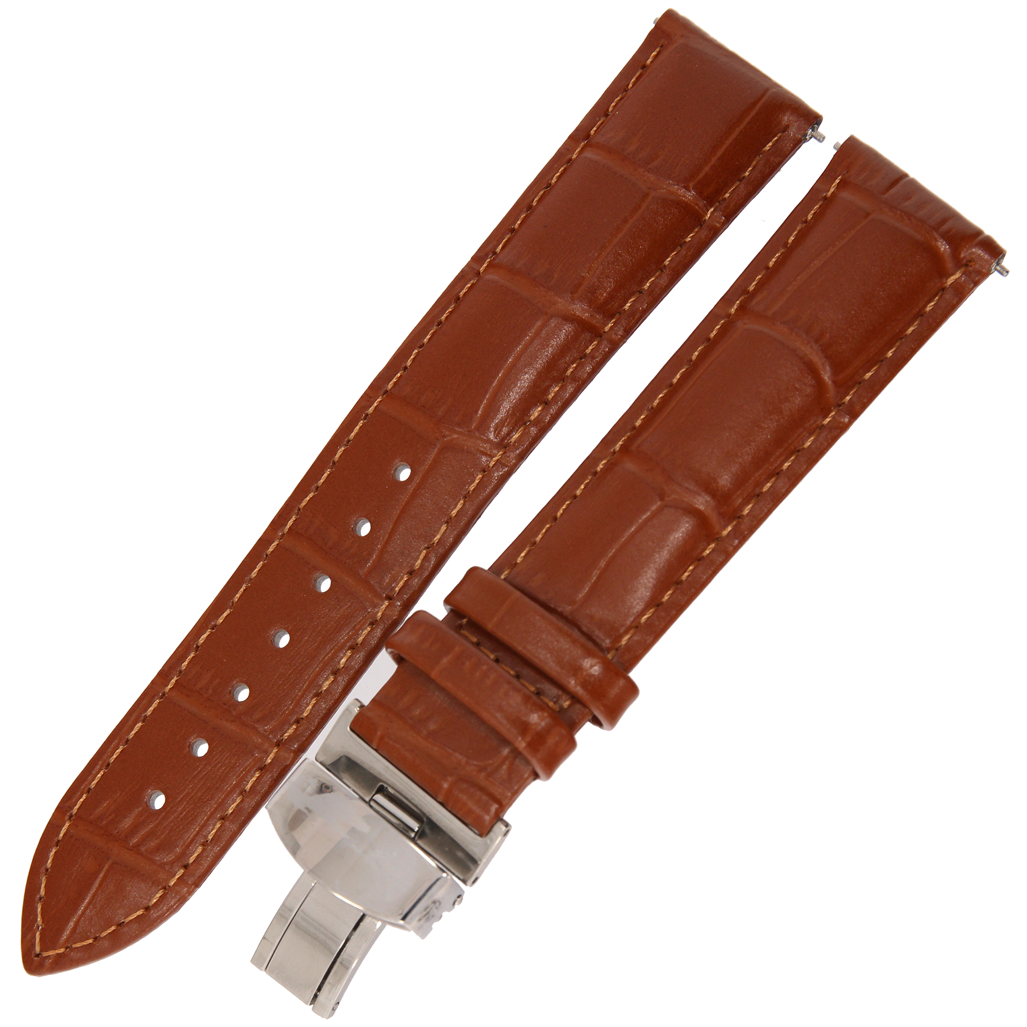 CP000336.03_1 kopia.png