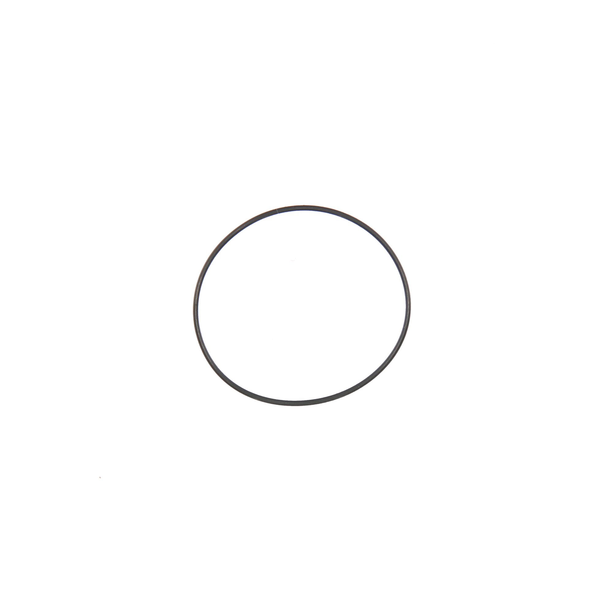 74212926 kopia.png